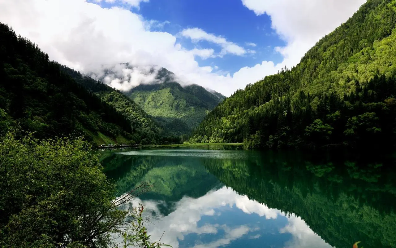 高端智能化